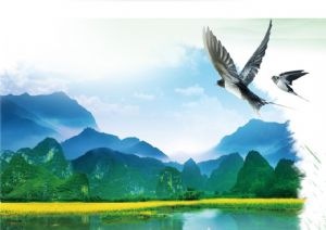 聚焦高考——绿水青山，我们押中了！