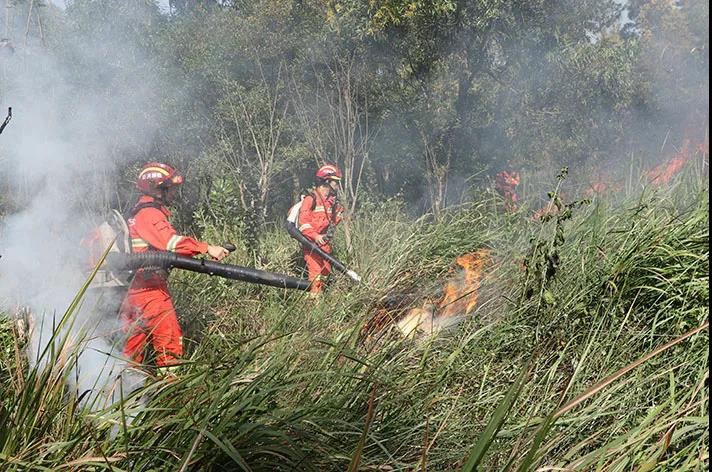 广东开展“猎火行动”，严打野外违规用火和森林火灾肇事者