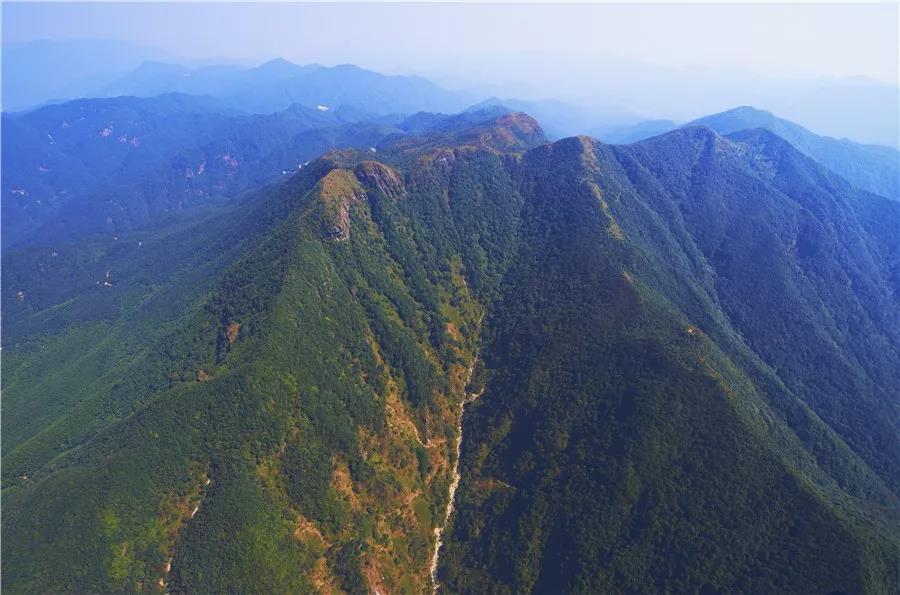 云浮：严防森林火灾 坚决守护绿水青山